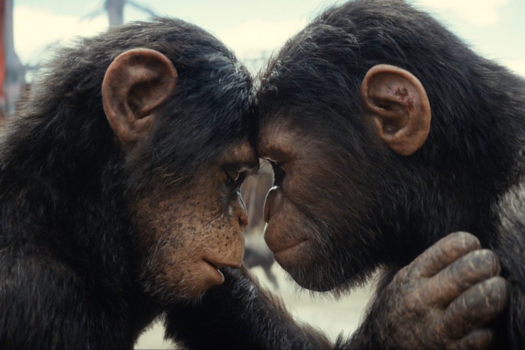 <p>We've been here before with the "Planet of the Apes" franchise.</p>    <p>For over 50 years, the visuals have impressed audiences, bringing awe and wonder with its depiction of highly intelligent apes, especially with the 2011 reboot. Though the well-reviewed trilogy has been financially successful, the visual effects Oscar has remained elusive.</p>    <p>20th Century Studios, now under Disney, hopes to change that with well-received continuations that could finally earn the franchise its overdue recognition.</p>    <p><em>Also in the discussion: "Dune: Part Two" (Warner Bros.); "The Fall Guy" (Universal Pictures); "Furiosa: A Mad Max Saga" (Warner Bros.)</em></p> <p><a href="https://variety.com/lists/oscars-contenders-first-half-2024/">View the full Article</a></p>