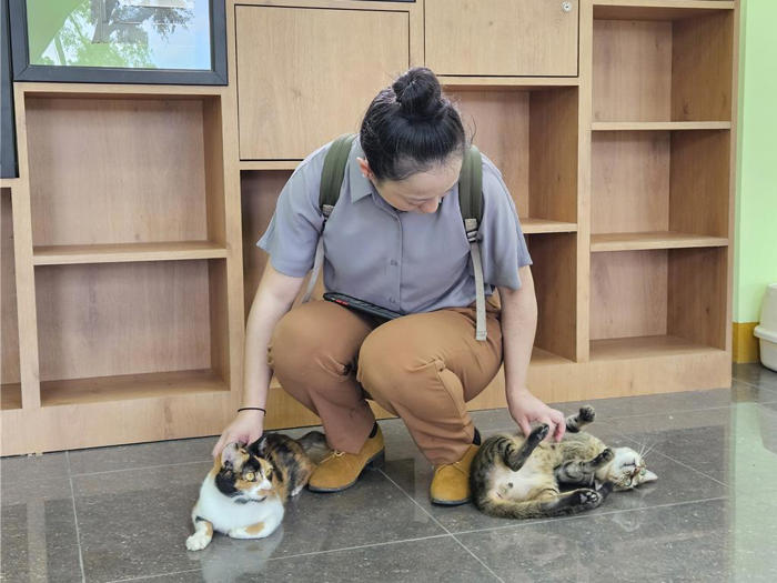 屏東縣動物之家啟用 截肢犬「斑斑」獲總統認養