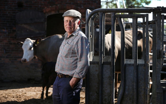 ‘i don’t want an industrial site where cows used to be’: the farmers under threat from solar developers