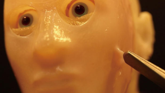 robots get a fleshy face (and a smile) in new research
