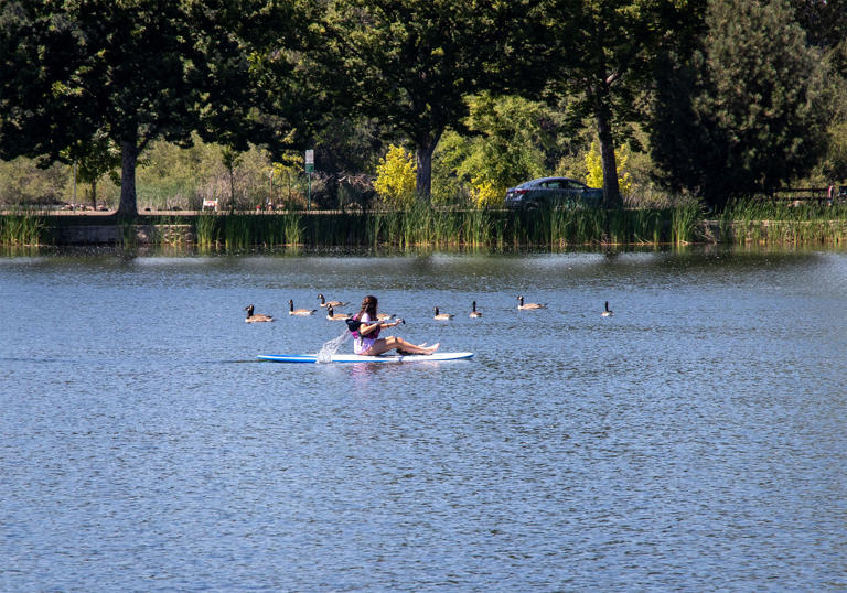 Lodi Lake safety hazard: Swimming a no-go after test reveals harmful ...