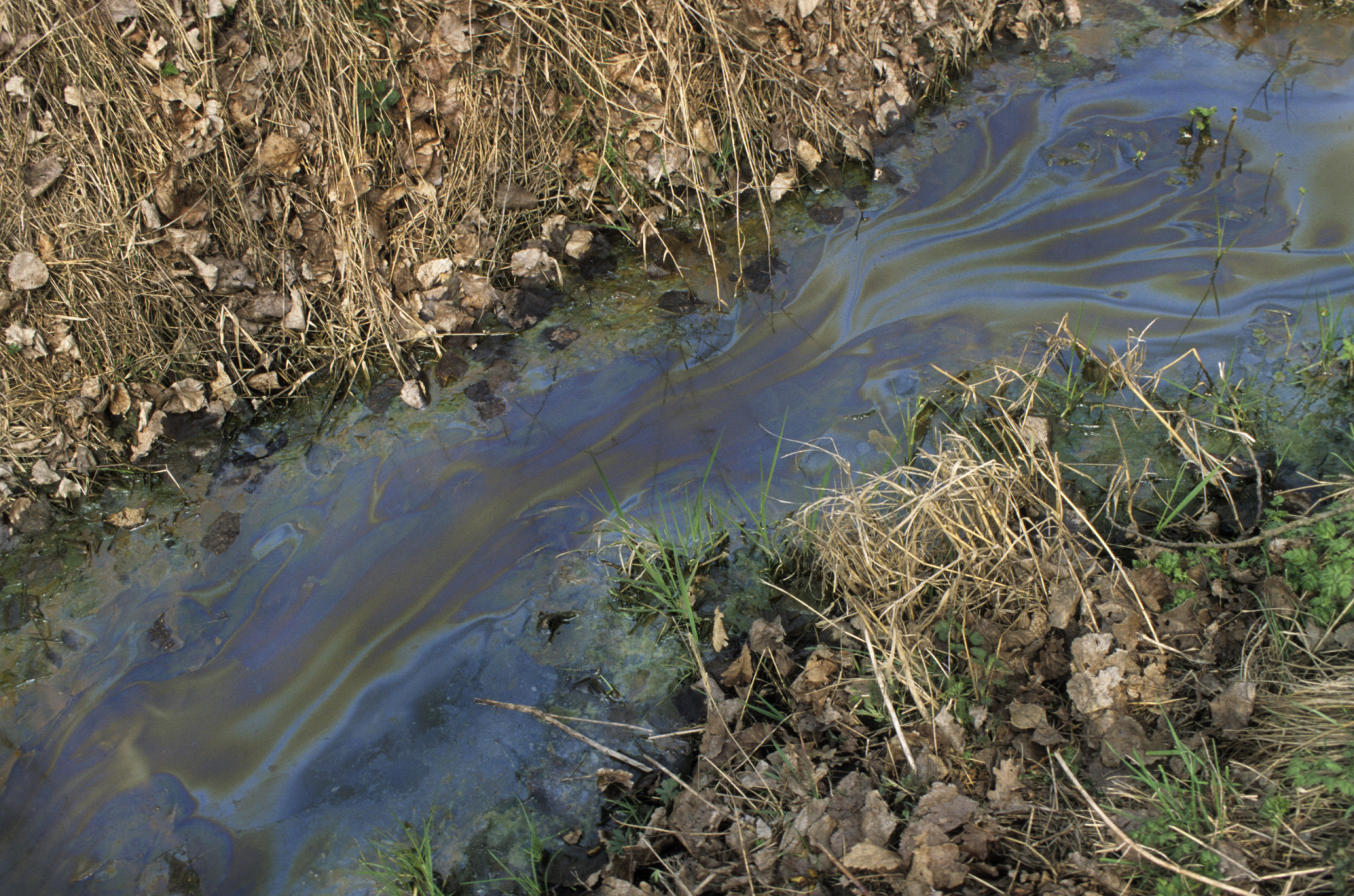 La planète souffre : voici les cours d'eau les plus pollués du monde
