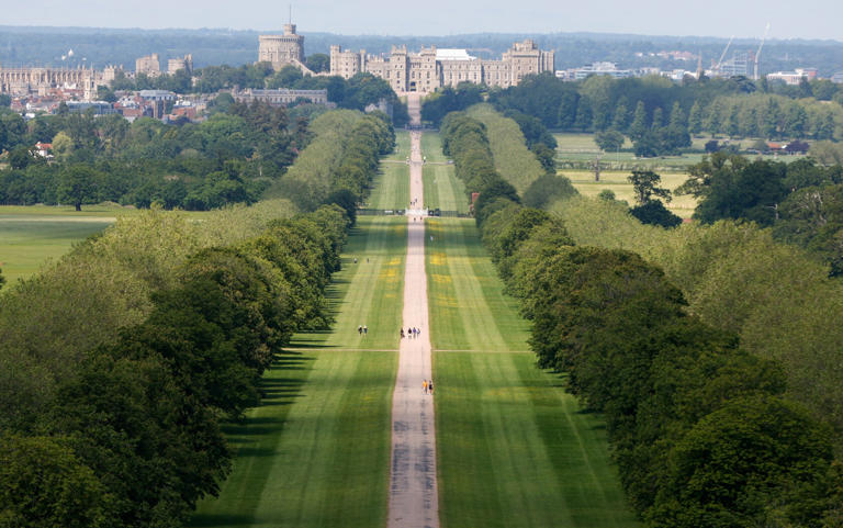 Extinction Rebellion said it had chosen to occupy Windsor Great Park because the King 'clearly understands the plight of the planet' - John Sibley/Reuters