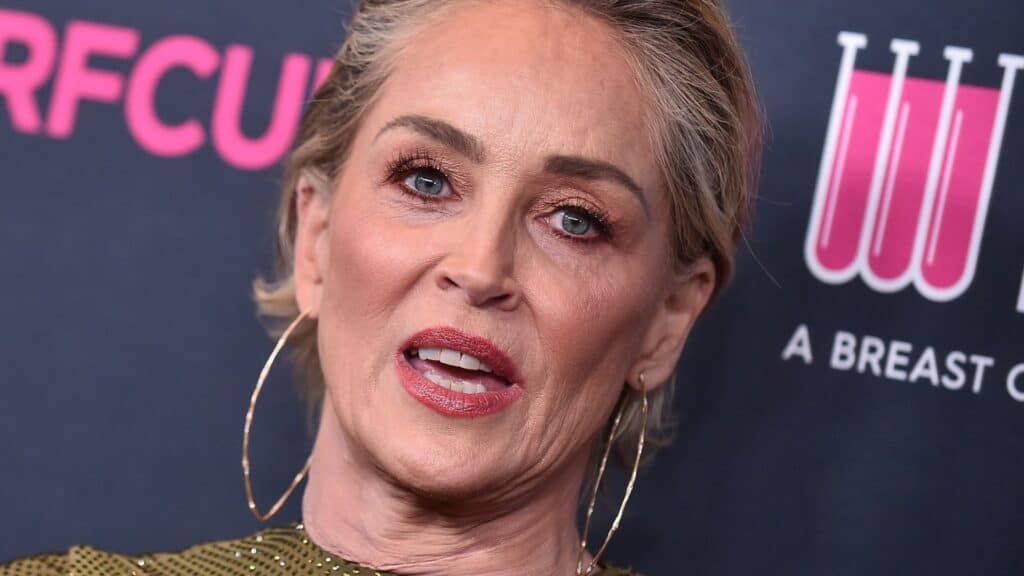 <p>Sharon Stone embodies natural aging with grace and confidence. Stone has chosen to avoid excessive cosmetic procedures. She openly discusses her journey towards self-acceptance and encourages others to appreciate their natural aging process. Stone’s elegance and charisma prove that beauty transcends age and is rooted in inner vitality. Her approach to aging inspires many to embrace their natural beauty. Stone continues to be a beacon of grace in Hollywood.</p>