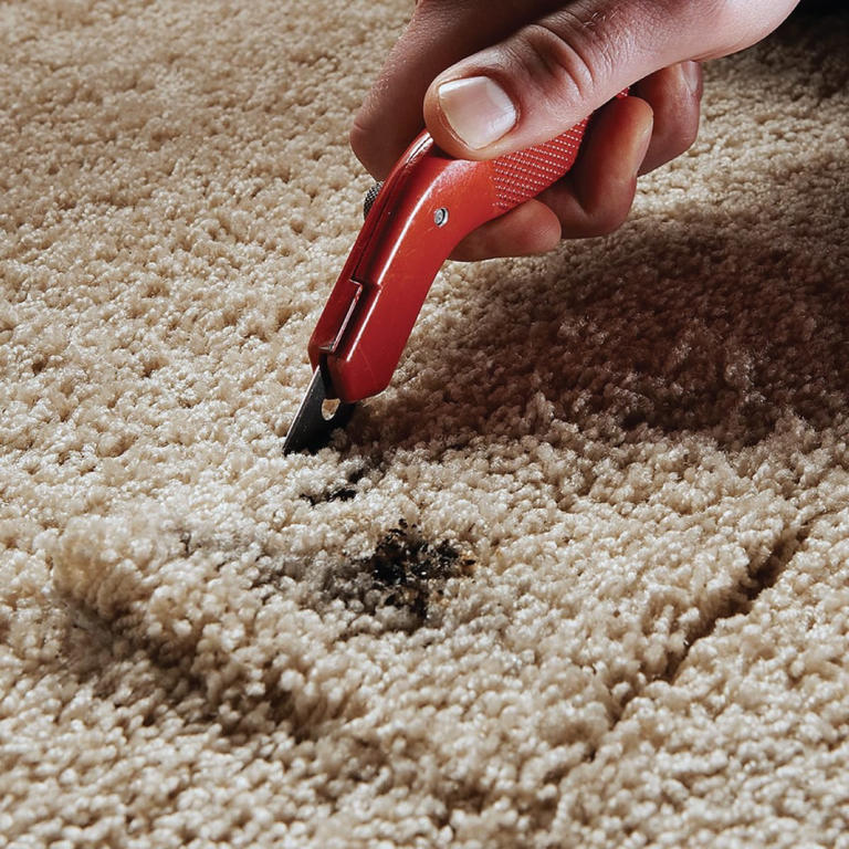 How To Repair a Hole in Carpet and Fix Other Common Problems
