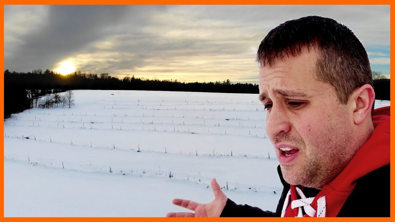 Walking through a permaculture orchard in winter