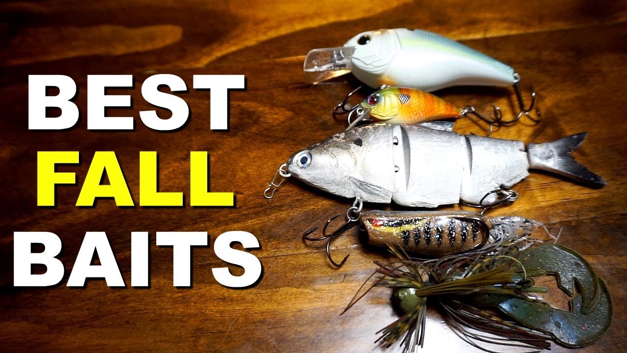 Autumn's Allure: The Top Five Baits for Fall Bass | Watch