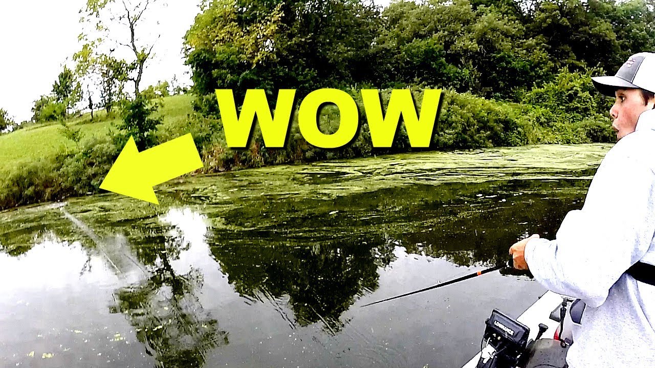 Giant frog fish caught in hidden lake