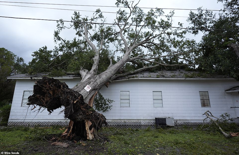 Hurricane Beryl Kills Eight: Killer Storm Leaves 3M Without Power