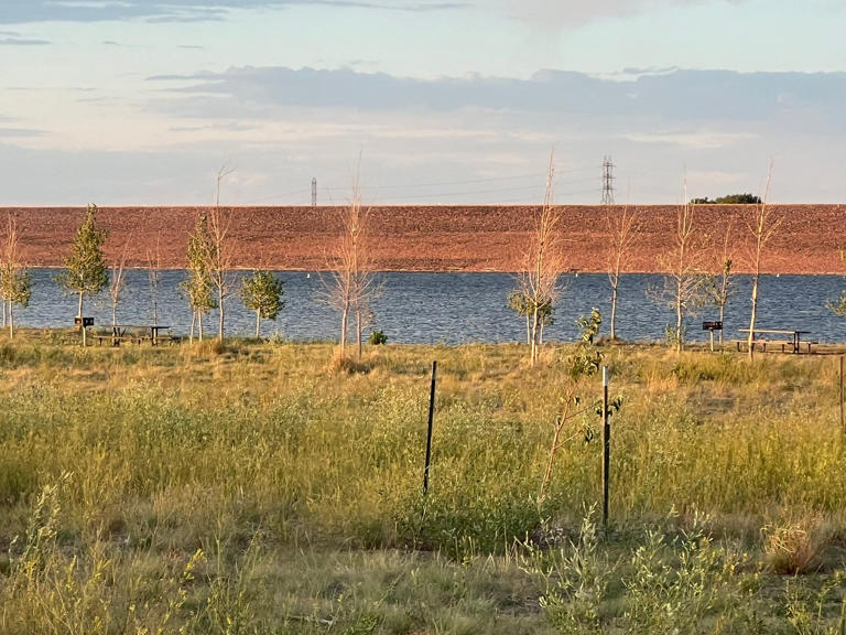 Water rescue at Colorado reservoir ends on a happy note, thanks to a ...