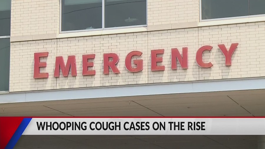 Whooping Cough Cases On The Rise