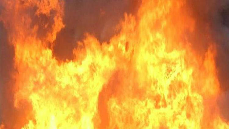 Coroner identifies person found dead in March 20 house fire on Harmon ...