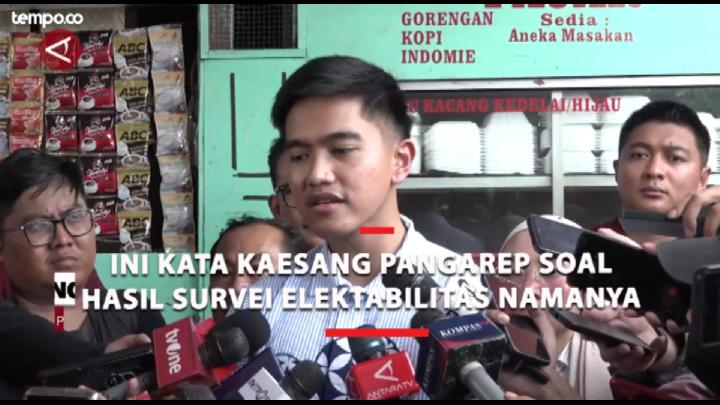 Respons PKB-PDIP-PKS Soal Elektabilitas Kaesang Unggul Di Pilkada Jateng