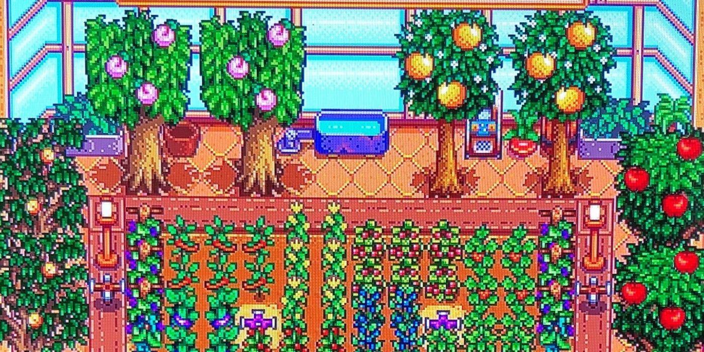 "This Is Not True" Stardew Valley Fans Resurrect ConcernedApe's