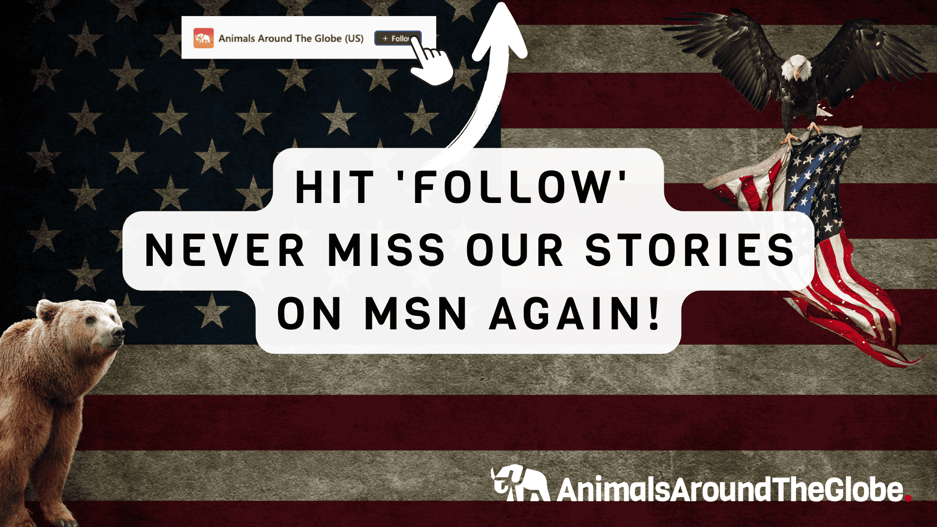 <p>To keep up with the latest from Animals Around the Globe in your Microsoft Start feed or MSN homepage, scroll up and click the ‘Follow’ button!</p>     <p> Subscribe to our <a href="https://www.animalsaroundtheglobe.com/animal-news/">newsletter</a> for daily animal news, or follow us from our profile <a href="https://www.msn.com/en-us/channel/source/Animals%20Around%20The%20Globe%20US/sr-vid-ryujycftmyx7d7tmb5trkya28raxe6r56iuty5739ky2rf5d5wws">on Microsoft Start</a>.</p>