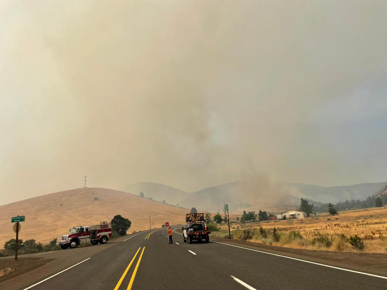 Oregon wildfires: Springfield fire halted, Ore Fire grows to 440 acres