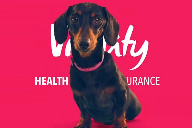 Vets say ads with 'cruelly obverbred' dog breeds should be BANNED