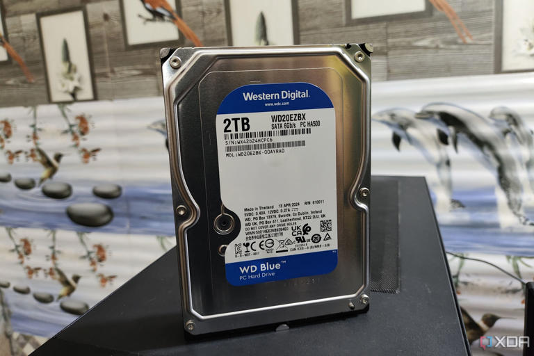 A WD Blue HDD resting on top of a PC