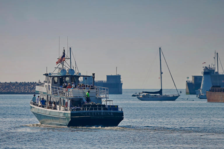 Seastreak ferry business thrives at New Bedford's pier. It's making its ...