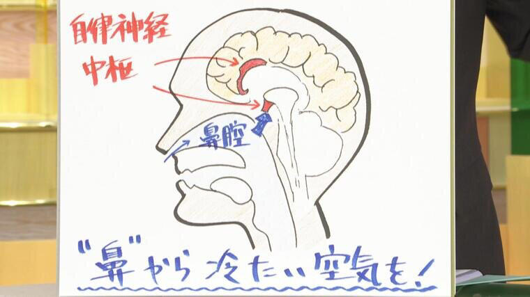 寝るときのエアコン『何℃』で『何時間』がベスト？大事なことは「脳をクールダウン」 目からウロコな"睡眠の正解"