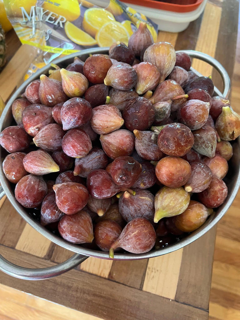 What To Do In The North Florida Garden July And August 