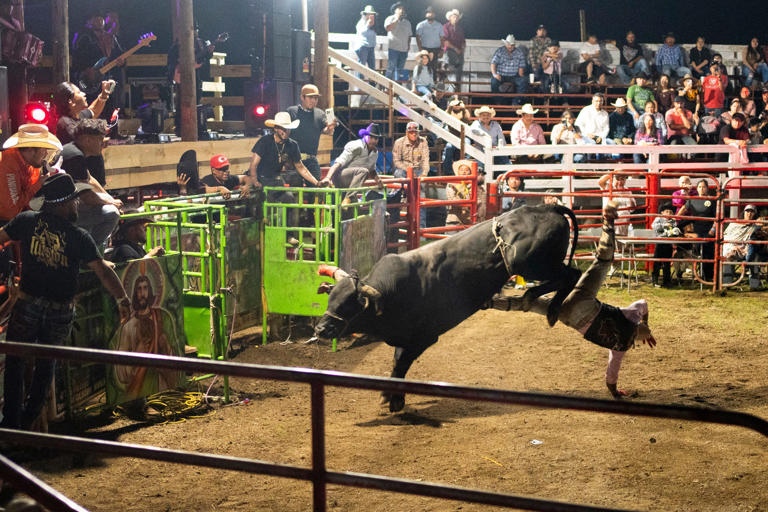 ¡Viva el rodeo!: What to know if you go to the Mexican rodeo at Rancho ...