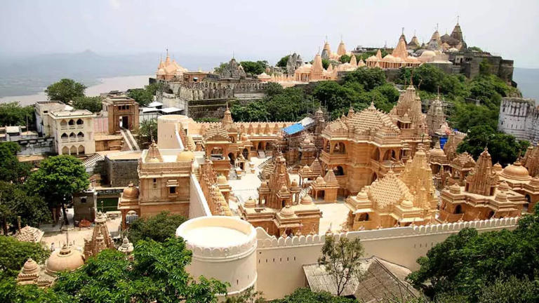 palitana bhavnagar is the first city in the world in gujarat where non-veg is illegal