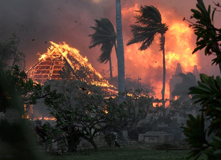 ESPN Awards Maui Surfing Community For Wildfire Relief Efforts