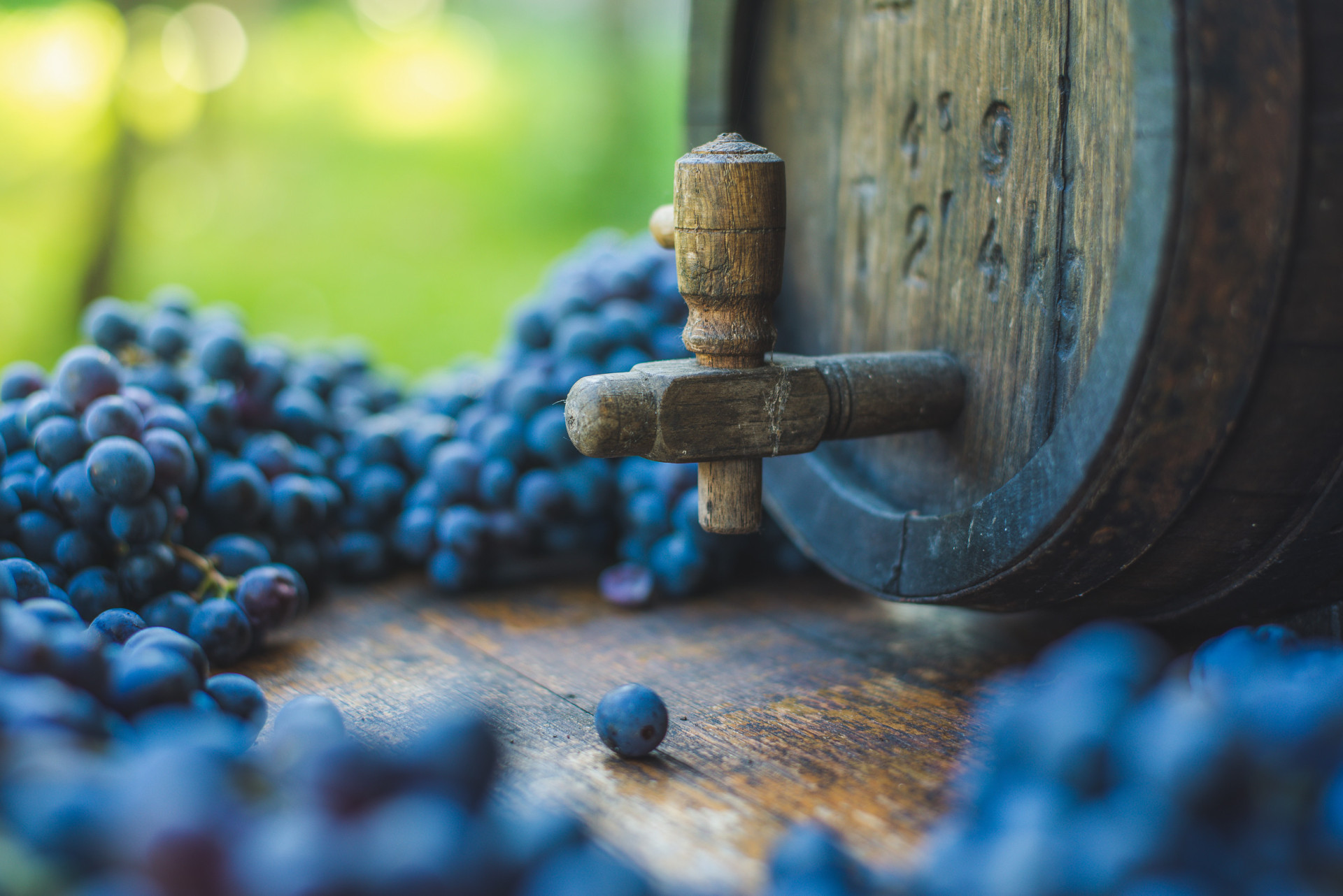Vins de France : l’âme du terroir en bouteille