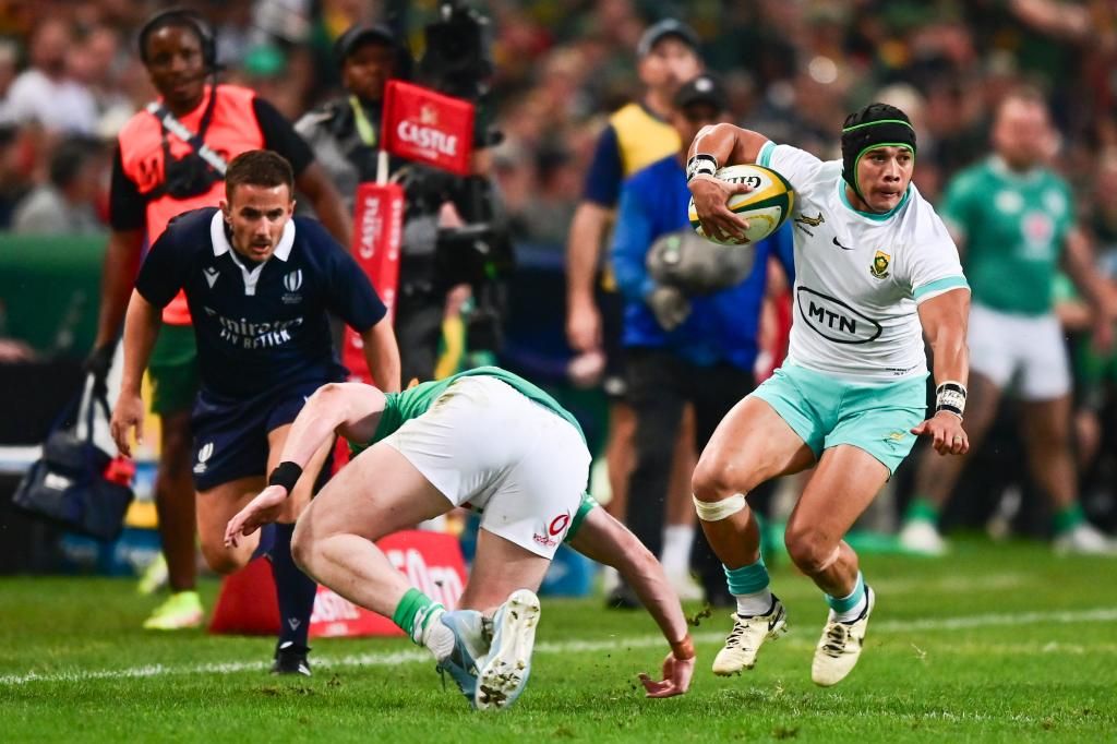 Revealed Full list of Springboks’ 2025 fixtures