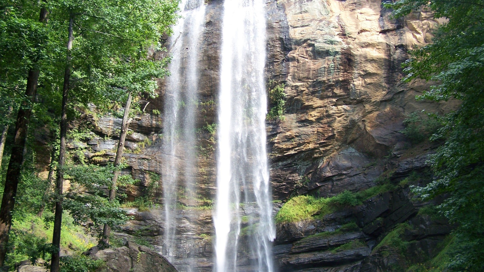 image credit: Manan Deb/Shutterstock <p>Known as the “Land of a Thousand Waterfalls,” Bankhead National Forest is a haven for outdoor enthusiasts. Its lush landscapes are dotted with cascading waterfalls, scenic streams, and diverse flora and fauna. Hiking through the forest’s Sipsey Wilderness area offers a serene escape into Alabama’s natural beauty.</p>