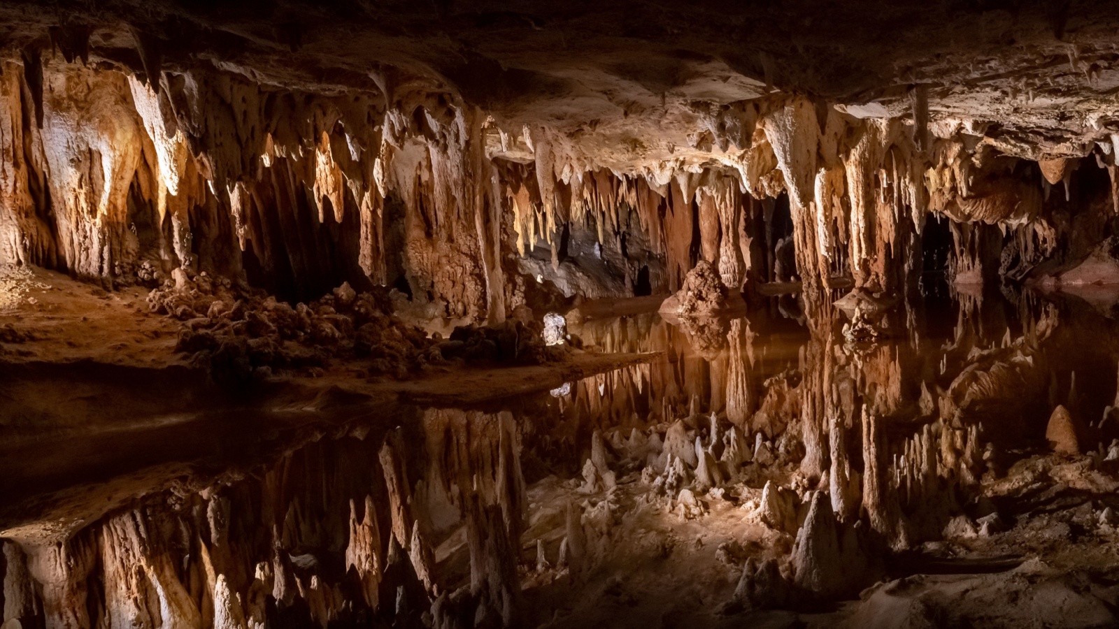 image credit: Belikova Oksana/Shutterstock <p>Rickwood Caverns State Park features stunning underground formations that are millions of years old. The guided cave tours showcase stalactites, stalagmites, and an underground pool, providing a fascinating glimpse into the subterranean world. Above ground, the park offers hiking trails, a playground, and a swimming pool.</p>