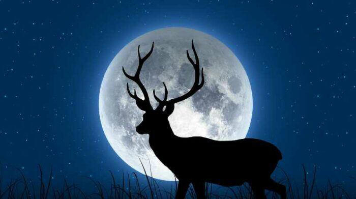 calendario astronómico julio 2024: fecha oficial de luna de ciervo y lluvia de meteoros