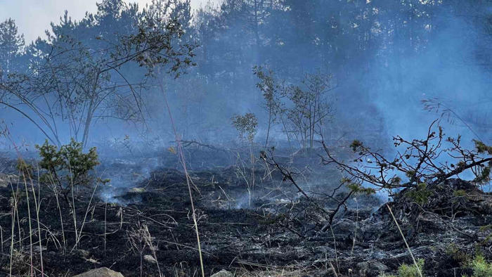 kastamonu’da orman yangını: 2 hektarlık alan zarar gördü