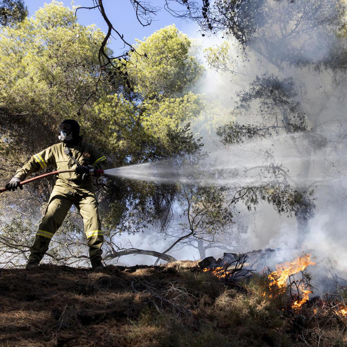 „schwierigste zeit liegt noch vor uns“: griechenland kämpft am wochenende gegen mehr als 40 waldbrände