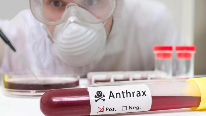 two people test positive for anthrax in odisha; here’s what you need to know about the illness