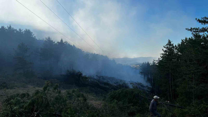 kastamonu’da orman yangını: 2 hektarlık alan zarar gördü