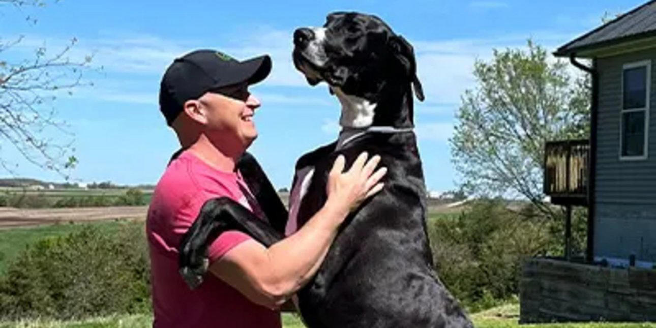 πέθανε σε ηλικία τριών ετών ο ψηλότερος αρσενικός σκύλος στον κόσμο