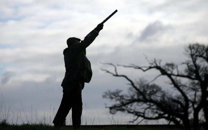 labour plotting ‘gun tax’ to wage war on countryside, tories claim
