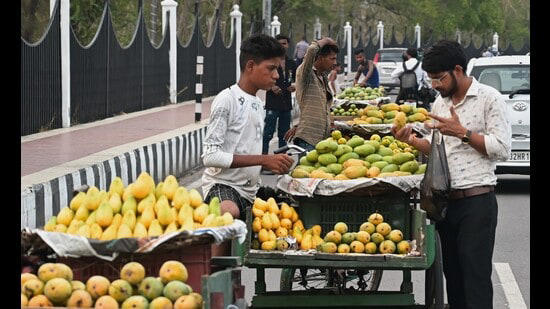 monsoon magic: brace for sweeter, juicier mangoes in july