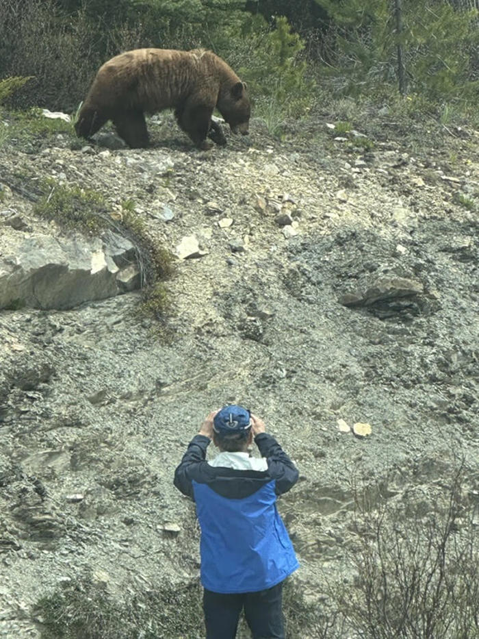bystander captures nerve-wracking photo of tourist getting too close to adult bear for photo opportunity: 'it could attack him'
