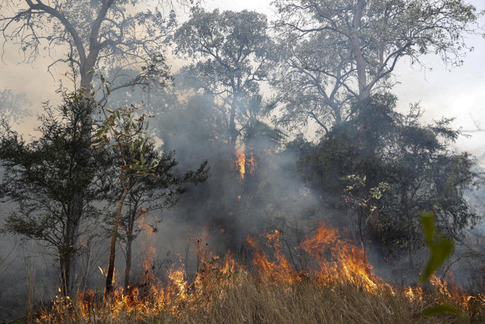 los bomberos reducen las llamas en el pantanal, pero están lejos de un 