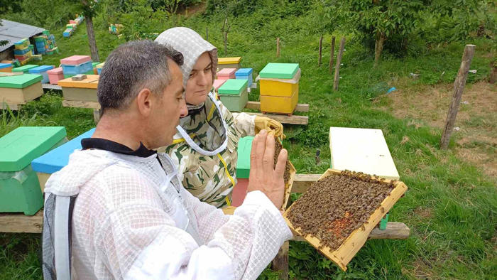 yığılca arısına dünya arıcılarından yoğun talep