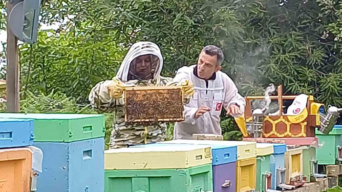 yığılca arısına dünya arıcılarından yoğun talep