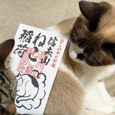 幸運と長寿を願って…猫好きさんに教えたい「猫にまつわるお寺・神社」4選