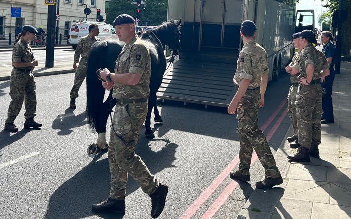 military horses bolt through central london after losing their riders