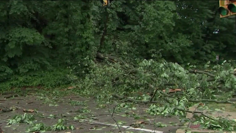 Storms cause flooding, downed trees and power outages