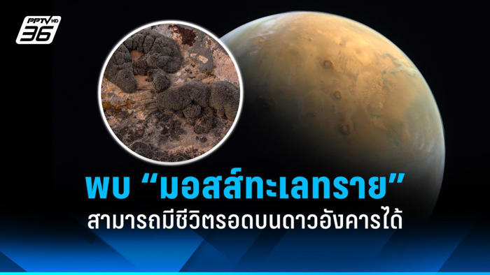 นักวิทยาศาสตร์พบ “มอสส์ทะเลทราย” สามารถมีชีวิตรอดบนดาวอังคารได้