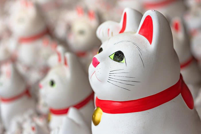 幸運と長寿を願って…猫好きさんに教えたい「猫にまつわるお寺・神社」4選