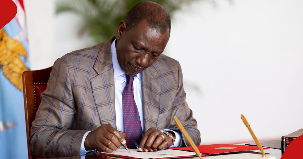 william ruto wants to meet gen z, economic players over these 5 key items
